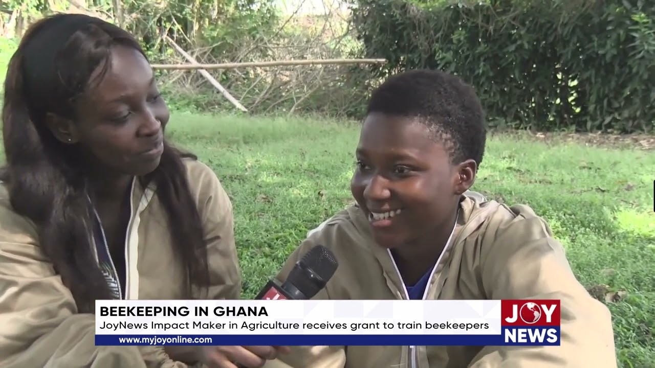 Beekeeping in Ghana: JoyNews Impact Maker in Agriculture receives grant to train beekeepers.