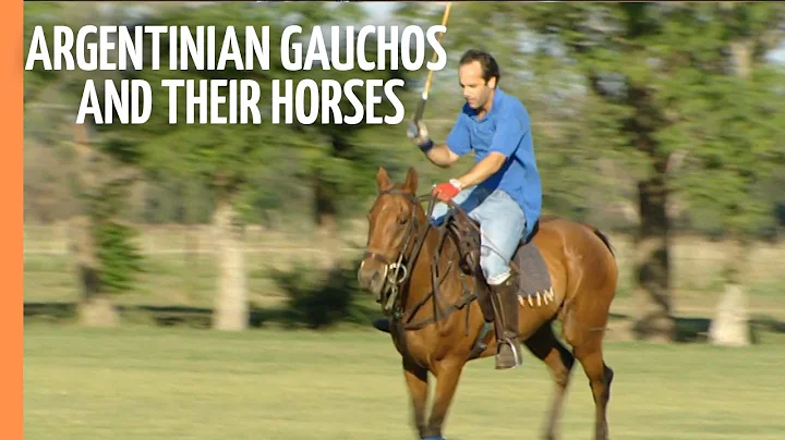 Argentinian Gauchos and their horses | Full Documentary