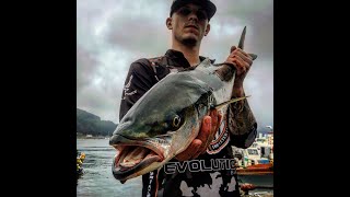 Tuna fishing off the coast of South Korea | 2019