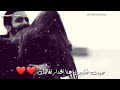 نعيم الشيخ لوتدري بيا شقد احبك مقاطع قصيره رومنسيهحالات وتس لب للعشاق mp3