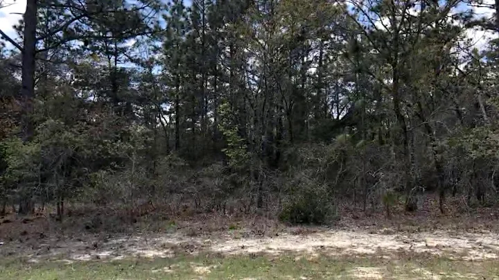 Lots And Land for sale - 9212 N Solomon Way, Citru...