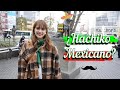 ¿HACHIKO MEXÍCANO?