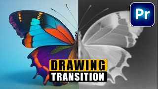 DRAWING OUTLINE Transition In Premiere Pro