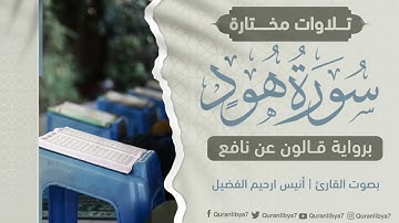 استمعوا إلى التلاوة المتميزة من سورة هود بصوت القارئ أنيس أرحيم. تألق واضح وجمالية في الأداء