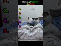 Ranking FUNNIEST Cat FAILS