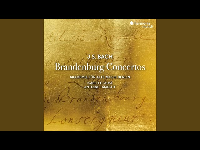 Akademie für Alte Musik Berlin - Brandenburg Concerto No. 5 in D Major, BWV 1050 I. Allegro
