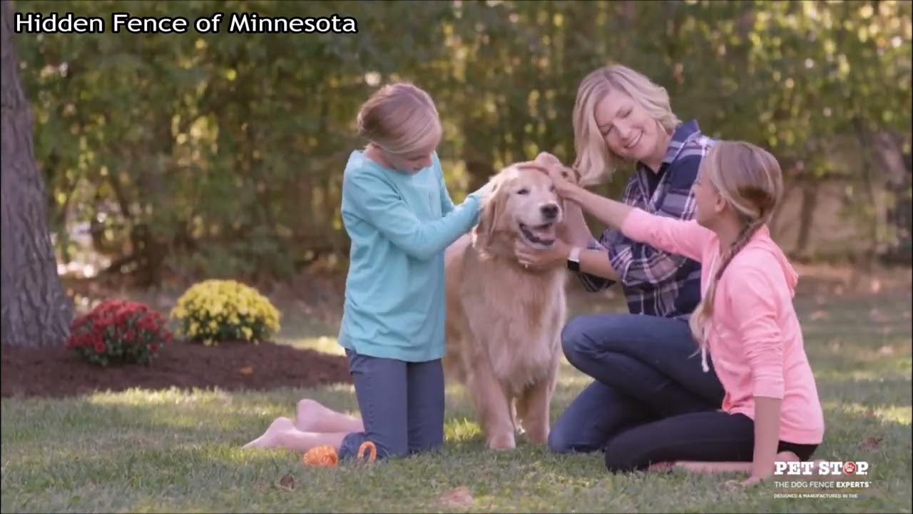 Pet Stop Link Video Hidden Fence of MN YouTube