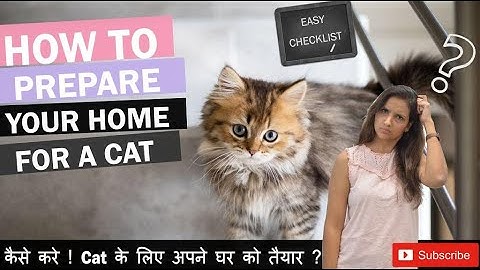 PREPARING HOME FOR A CAT | Buying a Cat | Cat Guide for Beginners | Cat Adoption | The Tails Tale