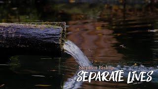 Stephen Bishop - Separate Lives (Lyrics)