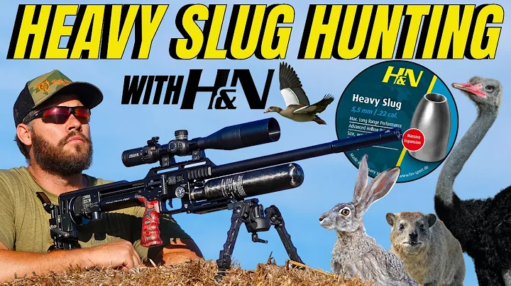 AIR GUN HUNTING WITH H&N HEAVY SLUGS I LONG RANGE ...