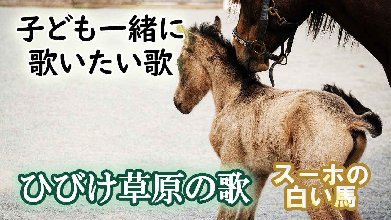 奇跡の再販 スーホの白い馬 丸山亜季歌曲集 即納 全国送料無料 Www Globaldentalcentre Org