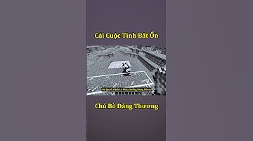 Chú Bò Đáng Thương Nhất Minecraft 🤣 #shorts