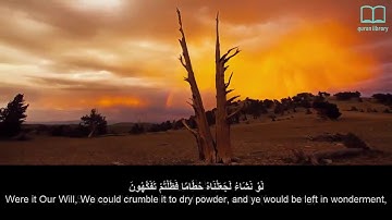 سورة الواقعة - ياسر الدوسري - مترجم | Surah Al Waaqia - Yasser Aldosari - English subtitles
