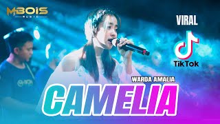 CAMELIA VIRAL TIKTOK - WARDA AMALIA FT MBOIS MUSIC LIVE BURNEH BANGKALAN