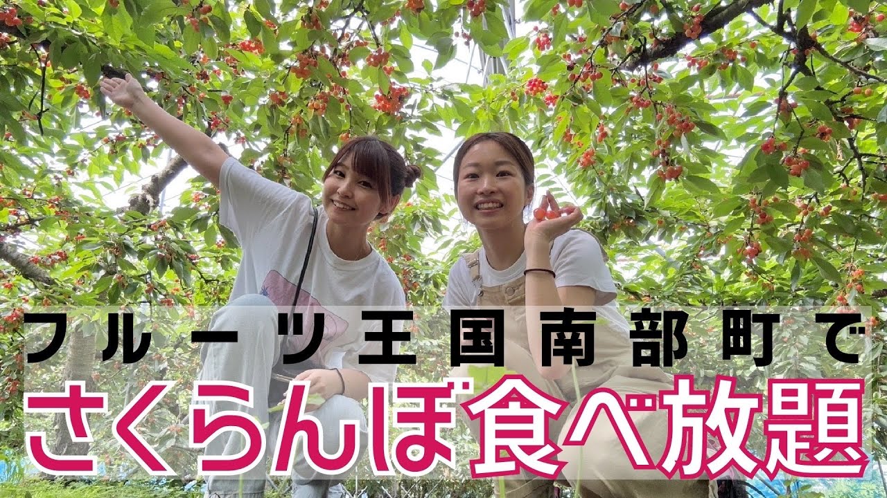 【女子旅】さくらんぼ狩り行ってきた〜青森県南部町〜
