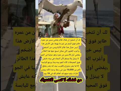 لك أن تتخيل إن هناك طائر يقضي سنين من عمره طاير فوق البحر اكسبلور  لايك معلومات ترند