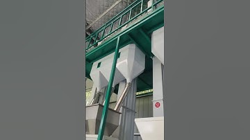 VSEE 3-chute color sorter at customer