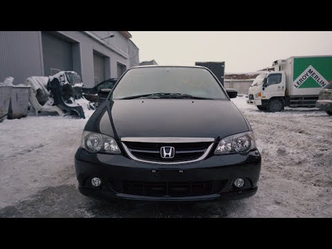 Honda Odyssey RA6 | Распил из Японии