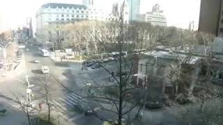 Time Lapse Truth Park Tree Removal