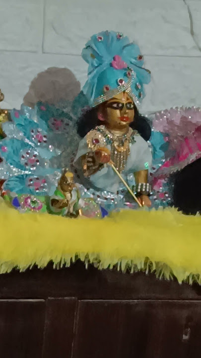 laddu Gopal Bas Dekhti Rahu 🥹 #shortsfeed #sgorts #shortsviral