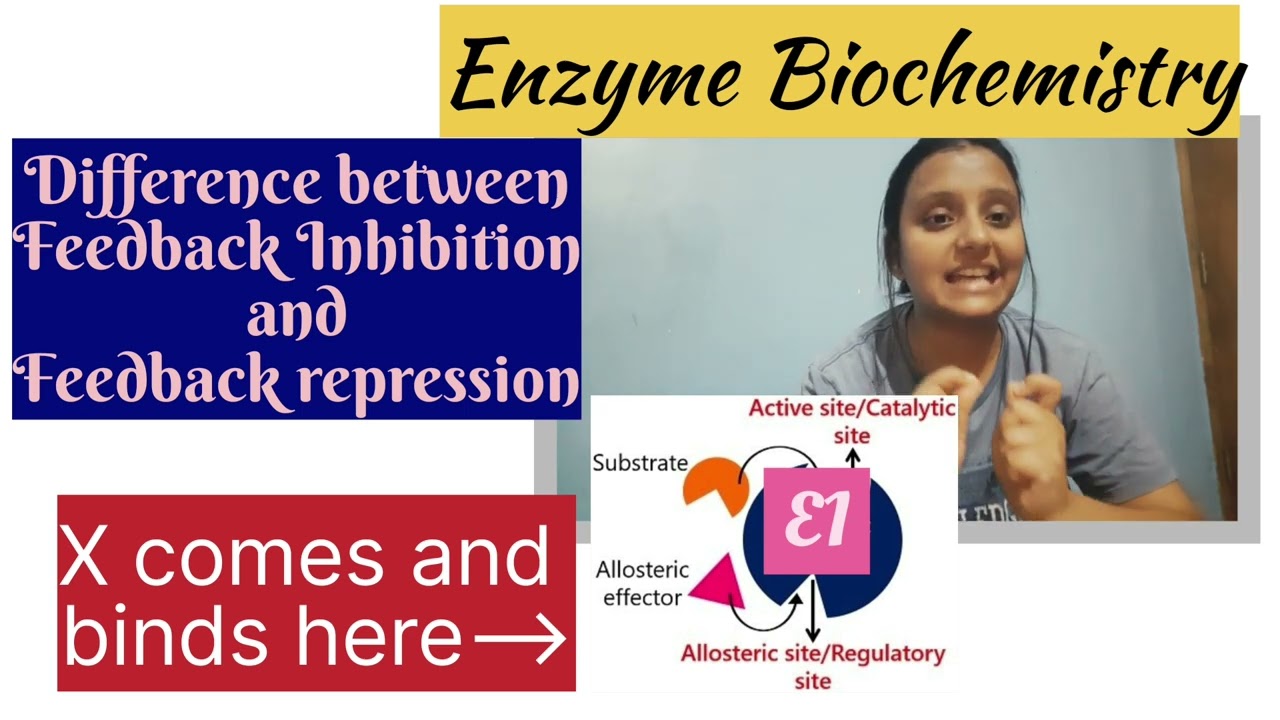 What is the difference between Feedback inhibition and Feedback repression