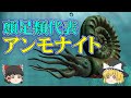 【ゆっくり解説】古代の頭足類の代表　アンモナイトについて