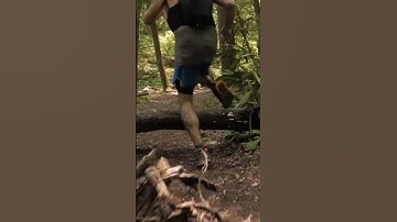 Spring Trail Running Season Is Here! #shorts #trailrunning