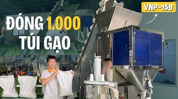 Đóng 1.000 túi gạo một ngày bằng Máy đóng gói cân định lượng VNP-15B | Tốc độ 20 túi/phút