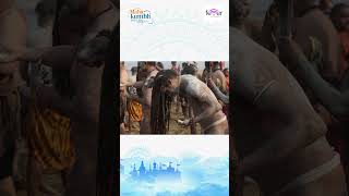 Maha Kumbh 2025 This Festival Is So Unique