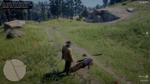 Red Dead Redemption 2 - My First Random Encounter