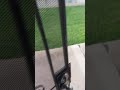 Индюки захватывают планету
