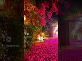 قصص الاستغفار قصص فضل الاستغفار معجزات