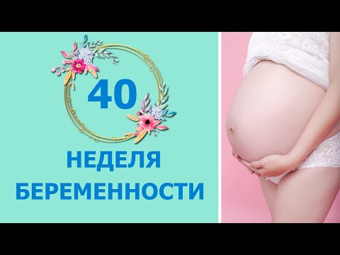 40 Неделя Беременности. Развитие плода и ощущения мамы