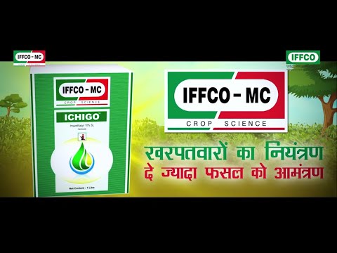 IFFCO-MC ICHIGO in Hindi