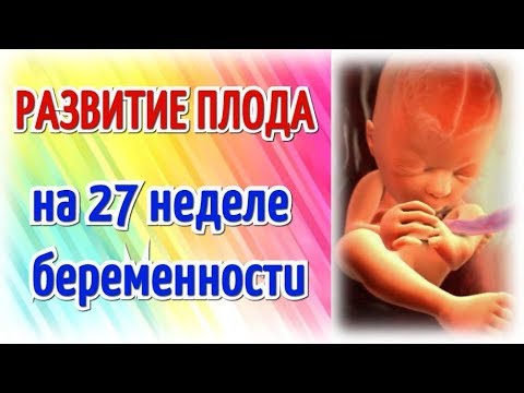 Видео: 27 седмици бременна - какво се случва? Развитие и движение на плода