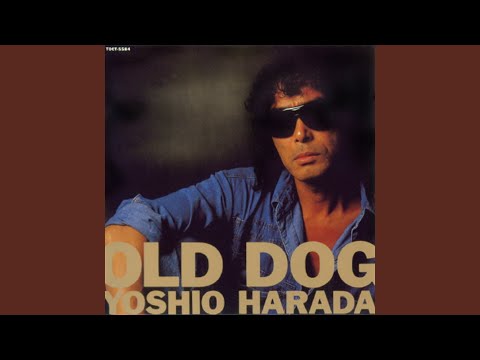 新譜オムニバス (歌謡曲) December 