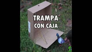 TRAMPA PARA AVES CON CARTÓN - YMX SUPERVIVENCIA