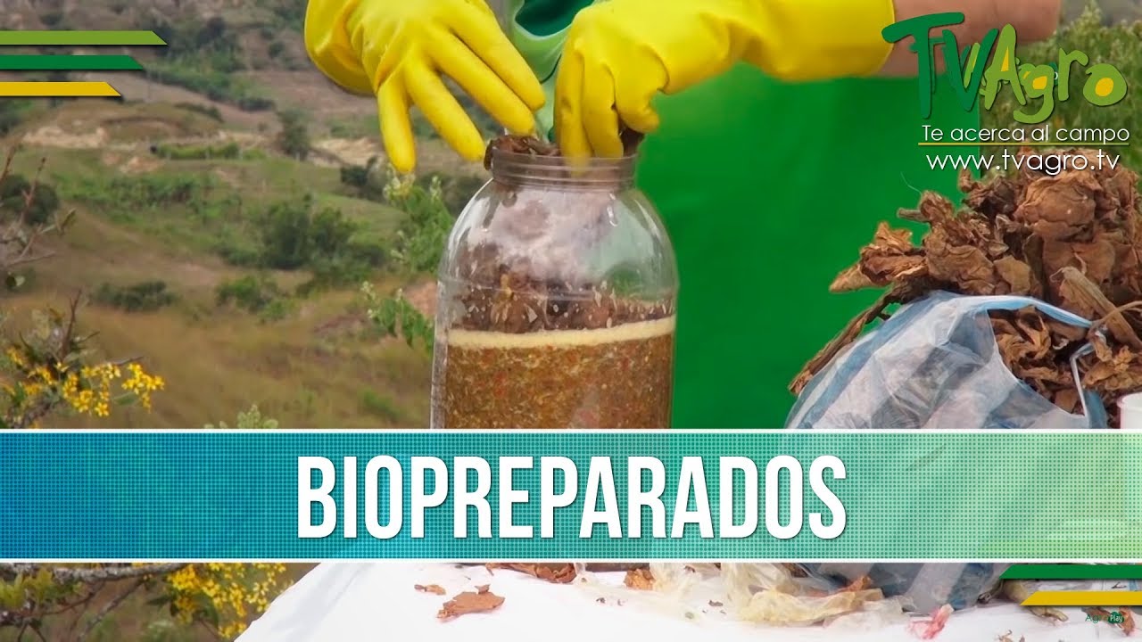 Opciones para Controlar Plagas y Enfermedades con Biopreparados - TvAgro  por Juan Gonzalo Angel - YouTube