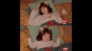 どん兵衛　年越しCM