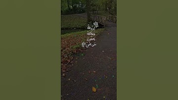 تلاوة خاشعة لآيات من كتاب الله #القرآن_الكريم #الله #اكسبلور #المصحف #foryou #راحة_نفسية #fyp #foru#
