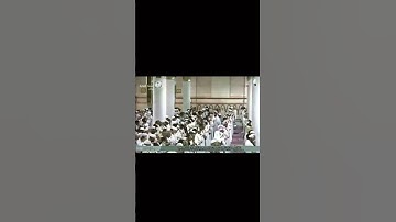 تلاوه نجديه الشيخ / حسين ال شيخ إمام المسجد النبوي