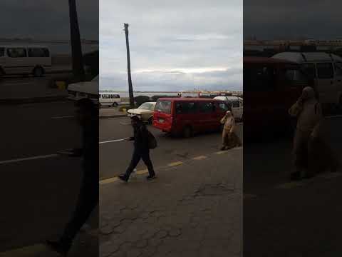 زياره الي نقابه التجاريين بالاسكندريه كل مايخص اشتراكات النقابه