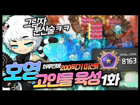 호영 켠김에 200까지 유니온 <strong>8000</strong> 고인물 육성 1화!! 한국형 신규캐릭 리뷰! [메이플 명훈]