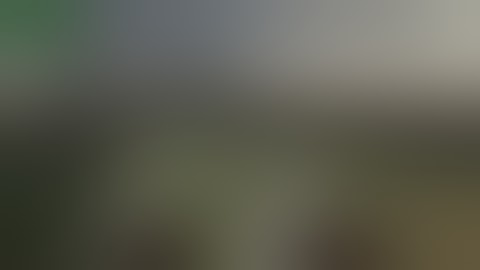 CSS V34 зомби In-teri(2020) #12