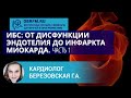 Кардиолог Березовская Г.А.: ИБС: от дисфункции эндотелия до инфаркта миокарда. Часть 1