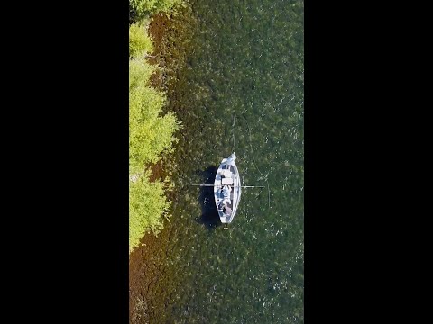 River Rock - Turtlebox Audio
