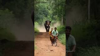 Bhabhi Ji Bach E Warna Haathi Kuchal Deta