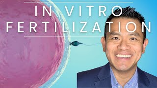 In Vitro Fertilization | Interview with Dr. Lei Chu