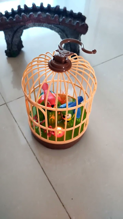 Burung berkicau #mainan #sangkar #burungsangkar #burungberkicau #bermain