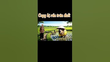 Phần 29: Răn đuổi Capy/ python and capybara #thientruongdaily #funny @capycat999